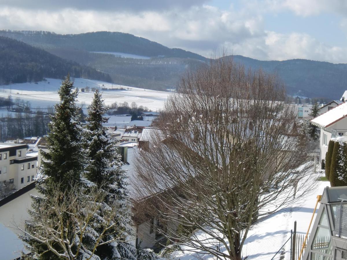 Zollern-Alb Aktiv Appartement Albstadt Buitenkant foto