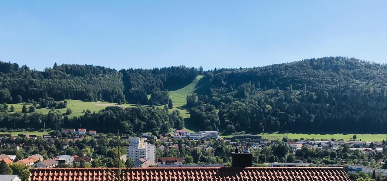 Zollern-Alb Aktiv Appartement Albstadt Buitenkant foto